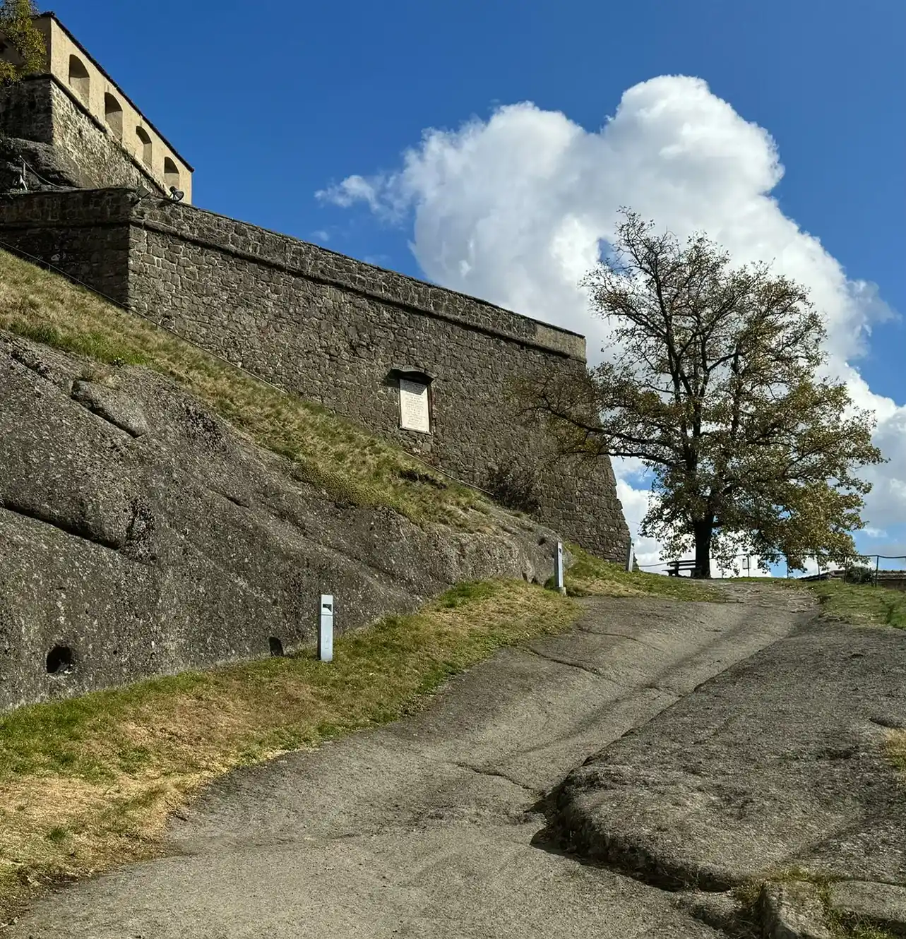 Leopoldibastei