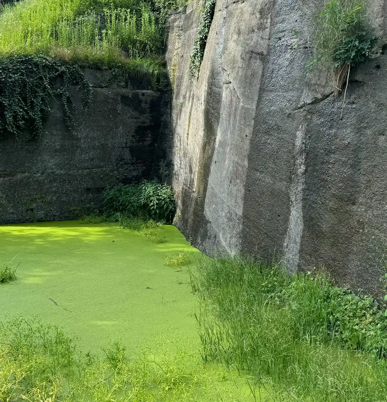 Pferdeschwemme