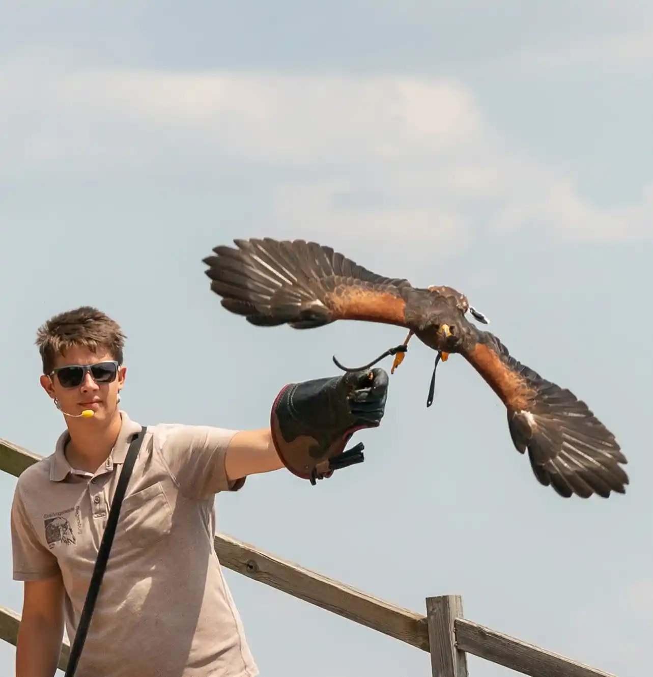 Centre for Raptors