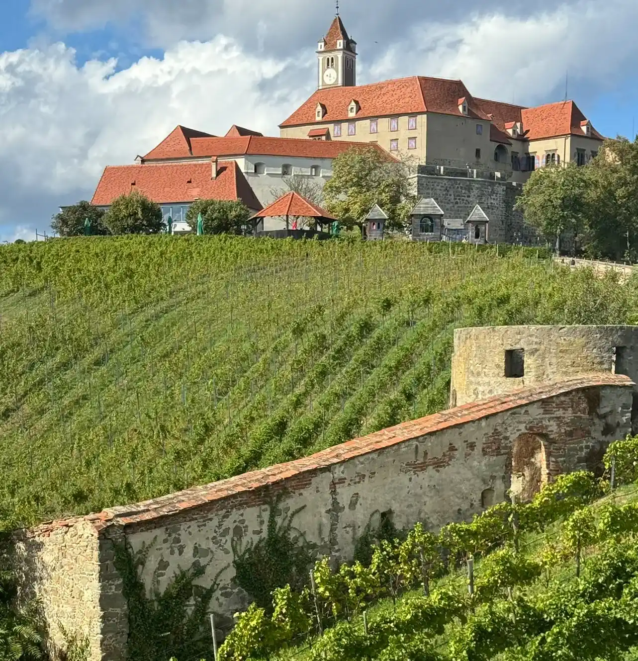 Weinbau auf der Riegersburg