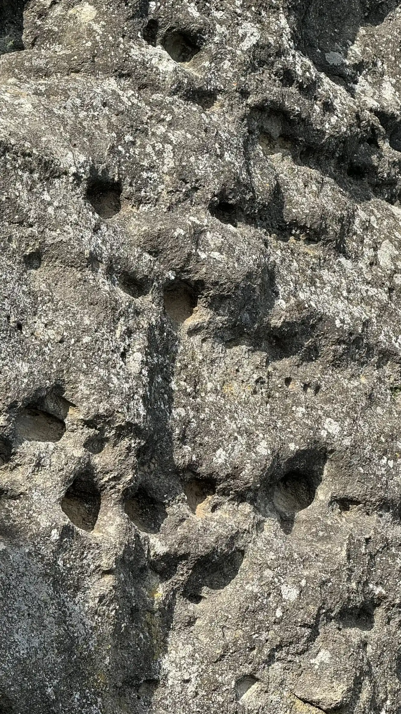 3_Tuff, pockmarked with holes_IMG_7906