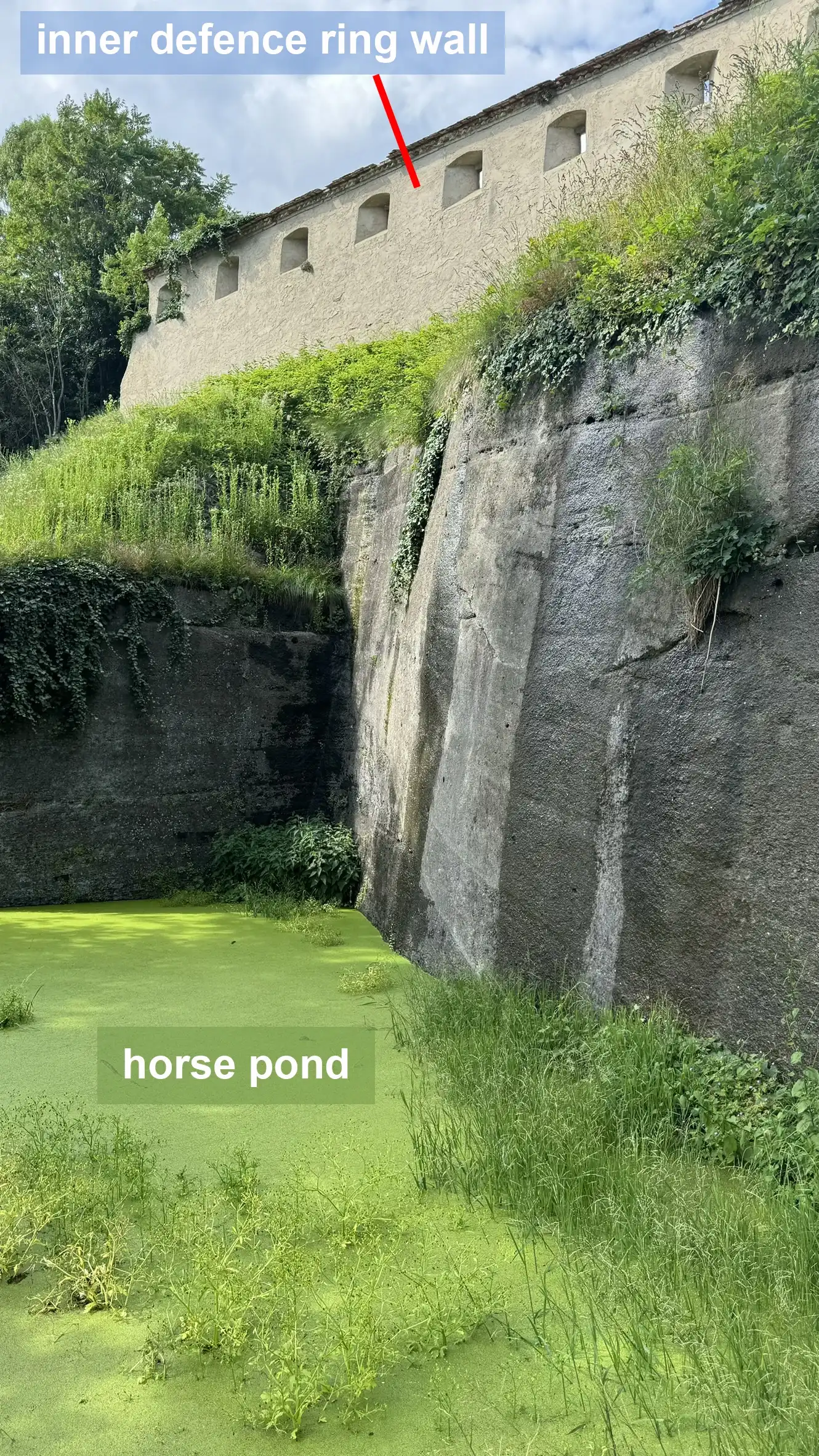 horsepond_eng
